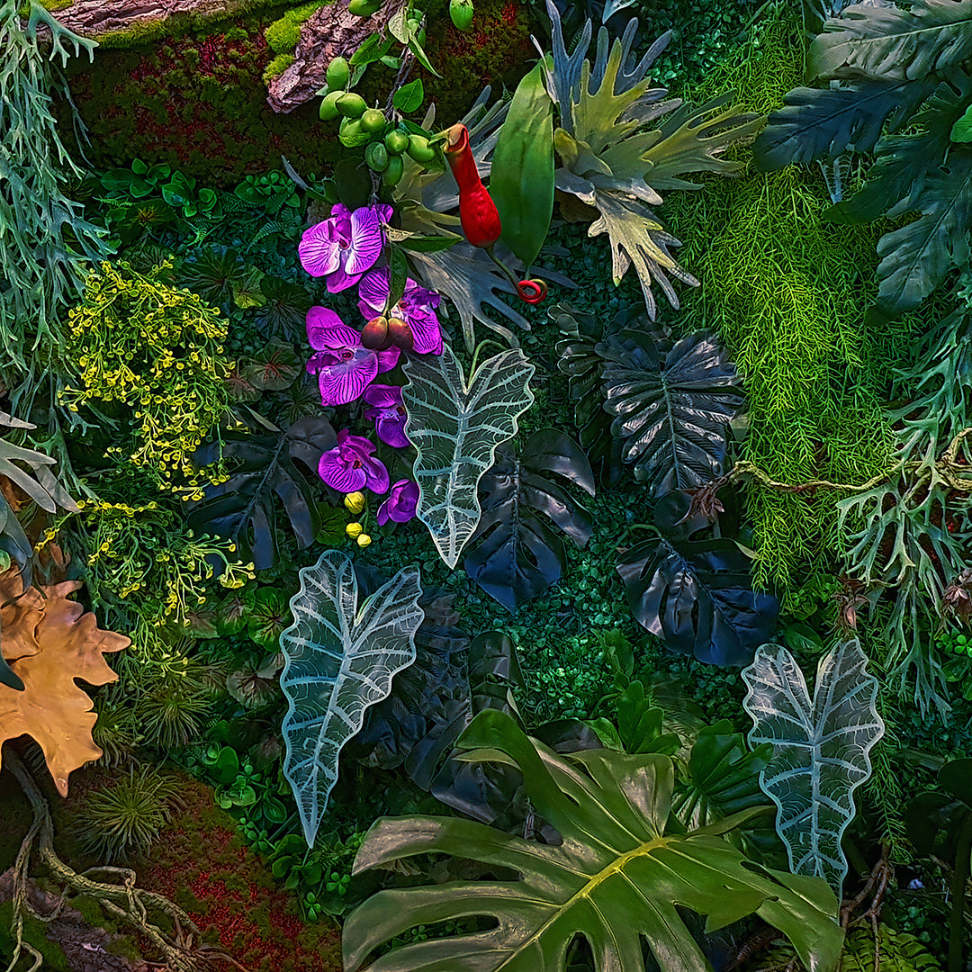 Leaves Nature Wallpaper