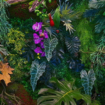 Leaves Nature Wallpaper
